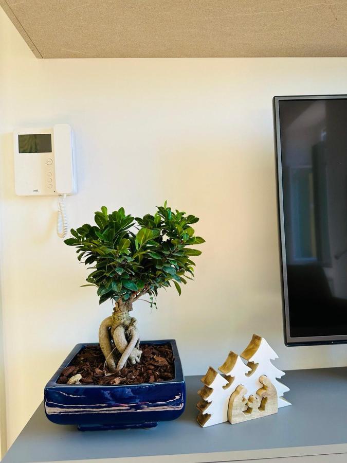 סלרנו Alocasia Luxury Stay מראה חיצוני תמונה